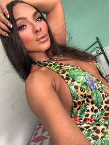 Travesti en Cantabria: 