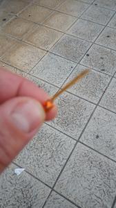 676142631: Chico busca chica en La Rioja