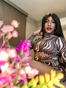 611278455: Transexual en Madrid