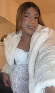 Travesti en Tenerife: 