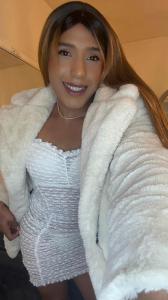 Travesti en Tenerife: 