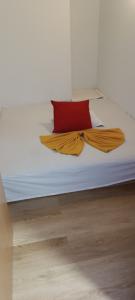 641266718: Chica busca chico en Las Palmas