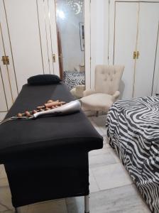 Transexual en Cádiz: 