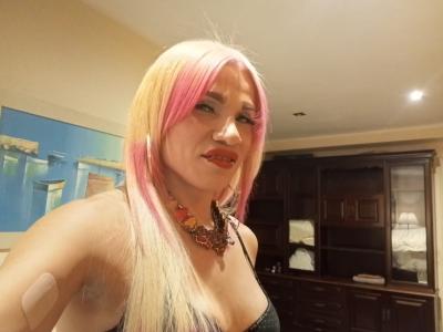 Transexual en Tarragona: 