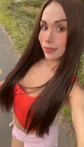 Travesti en Mallorca: 