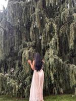 614668047: Transexual en Burgos