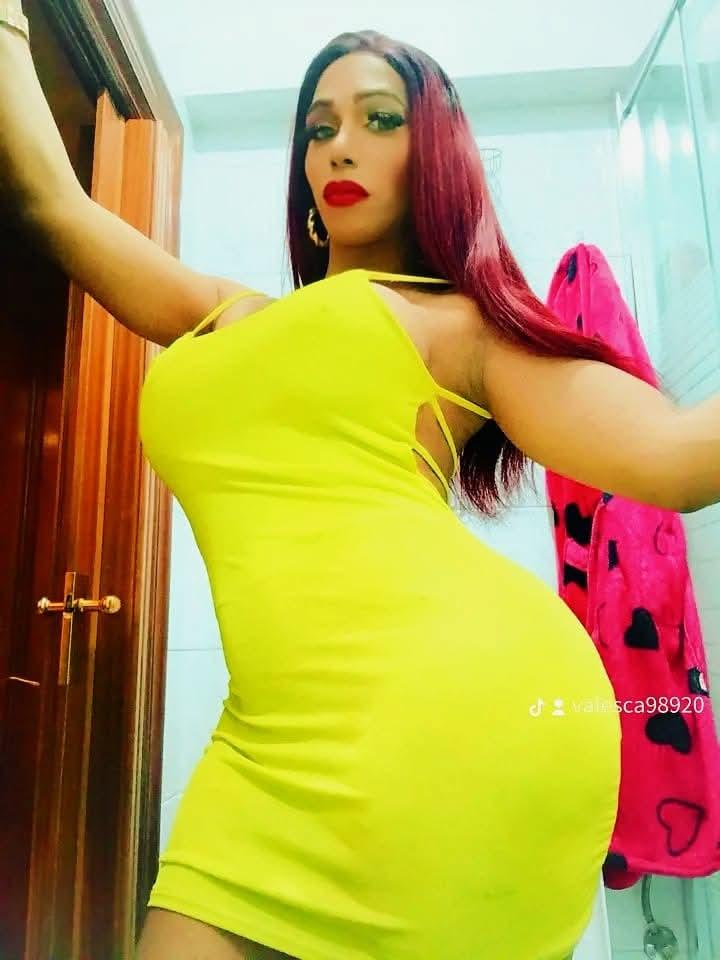 Transexual en Alicante: 