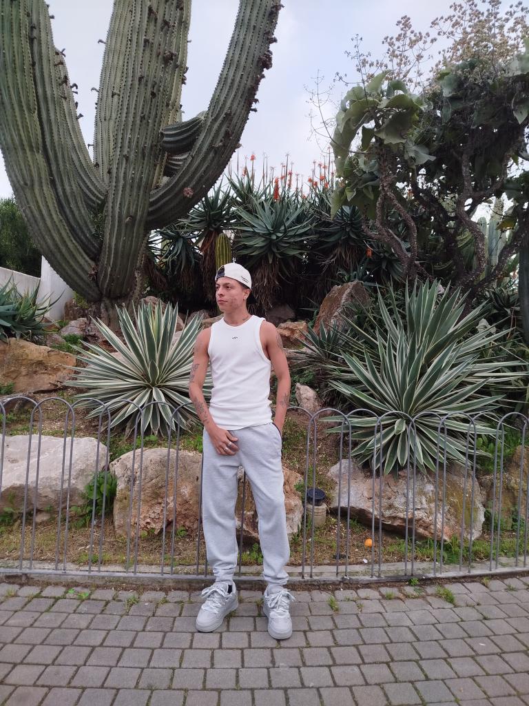 Chico busca chica en Ibiza: 