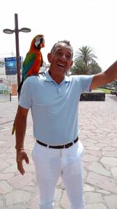 646848408: Chico busca chica en Las Palmas