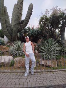 643314821: Chico busca chica en Ibiza