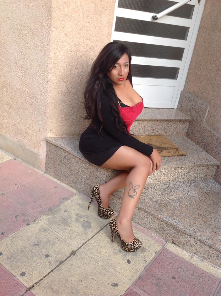 Travesti en Castellón: 