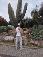 643314821: Chico busca chica en Ibiza