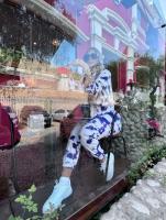 623257216: Chica busca chico en Jaén