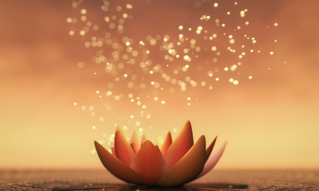 Chica busca chico en Cádiz: 