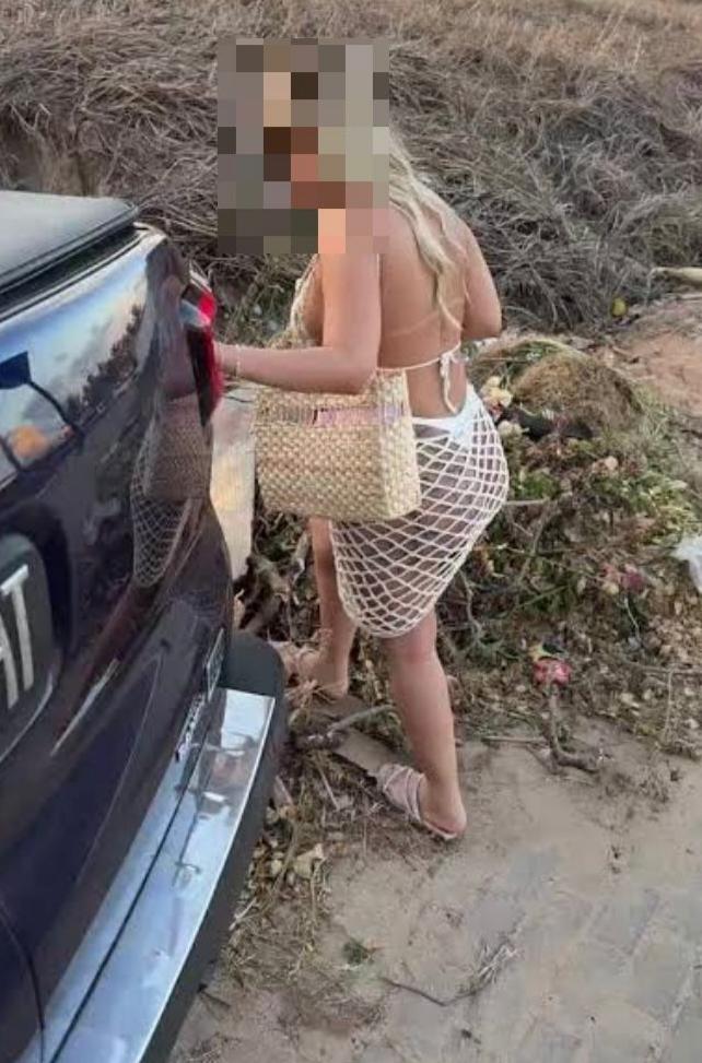 Chica busca chico en Alicante: 