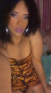 Travesti en Sevilla: 
