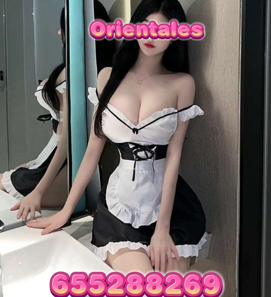 Chica busca chico en Ibiza: 