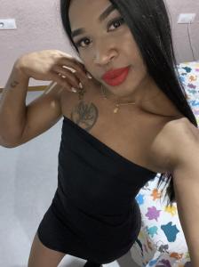 Transexual en Alicante: 