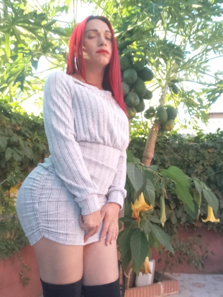 Transexual en Valladolid: 
