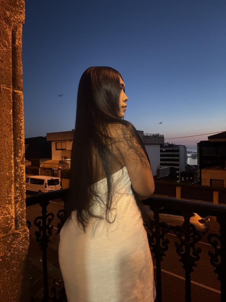 Transexual en Álava: 