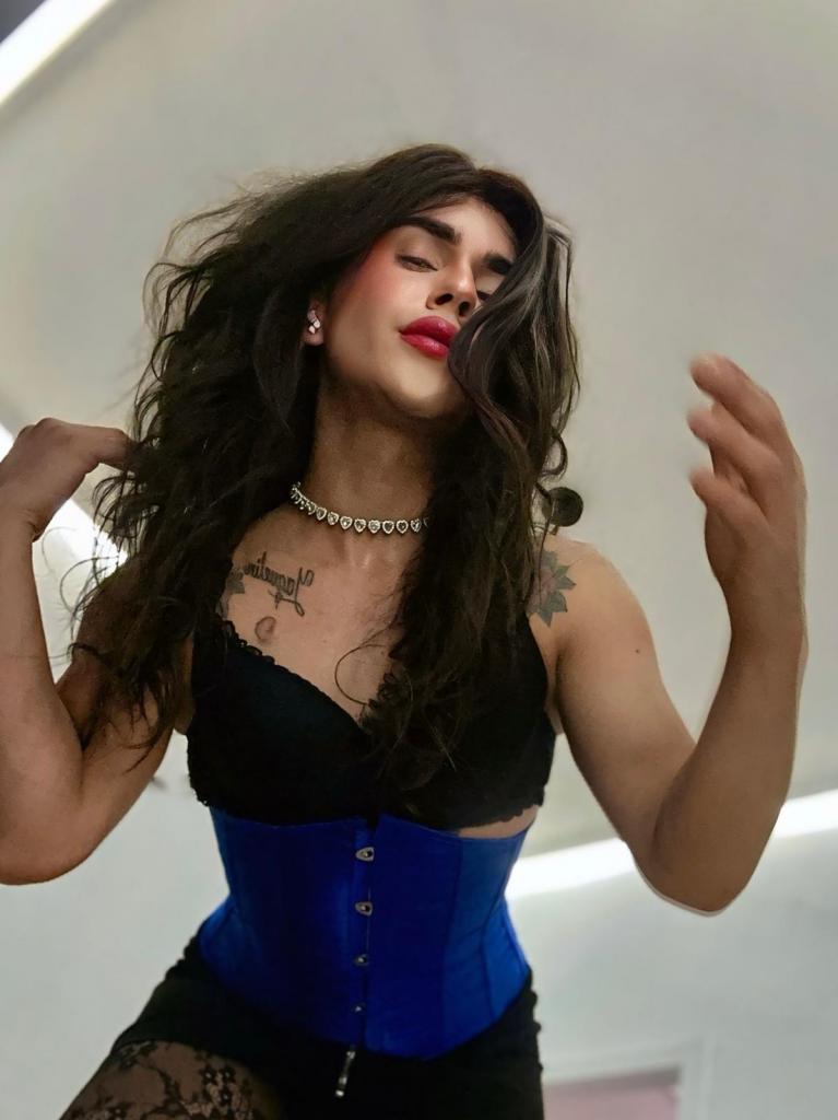 Transexual en Vizcaya: Transexuales y Travestis