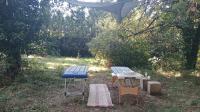 622656379: Chico busca chica en Gerona