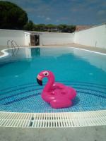 665901426: Chica busca chico en Huelva