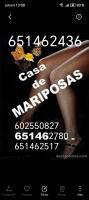 651462517: Chica busca chico en Valladolid