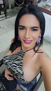Travesti en Burgos: 