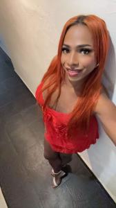 Travesti en Cantabria: 