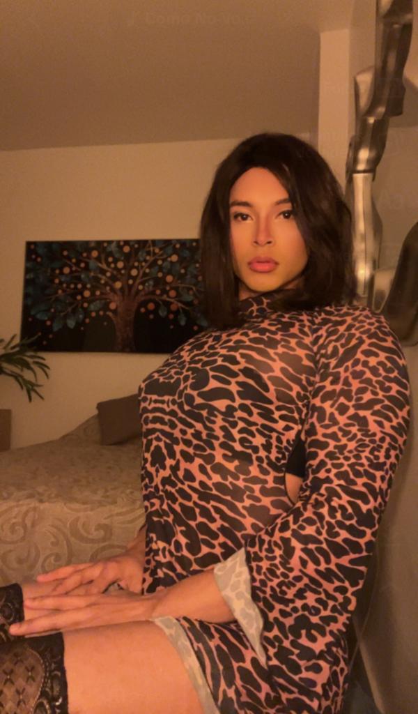 617285720: Travesti en Madrid