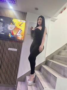 Transexual en Navarra: Transexuales y Travestis