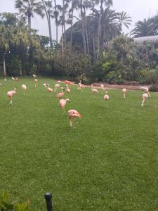 642326316: Chica busca chico en Cuenca