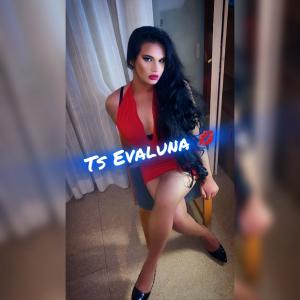 Transexual en Barcelona: 
