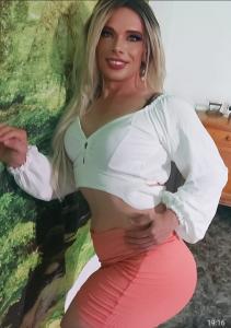 Travesti en Alicante: 
