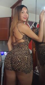 Transexual en Castellón: 