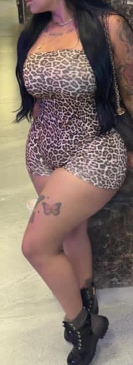 Chica busca chico en Guipúzcoa: 