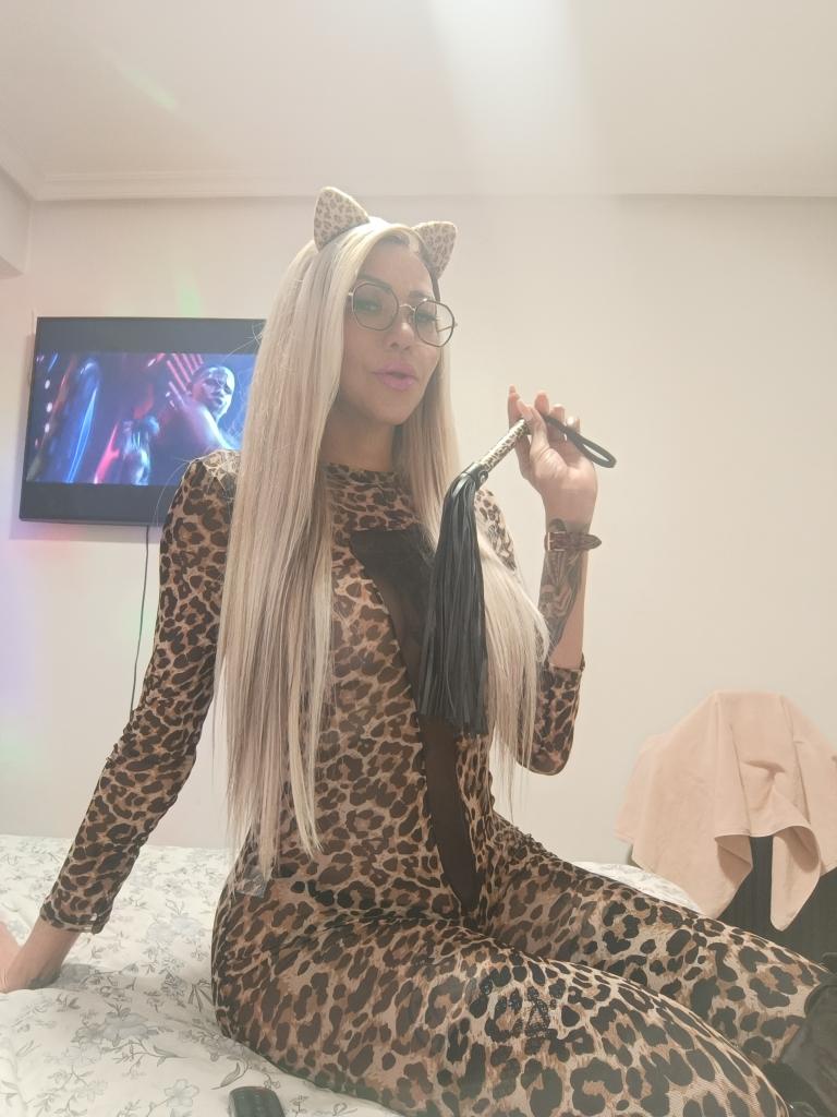 Transexual en Asturias: Transexuales y Travestis