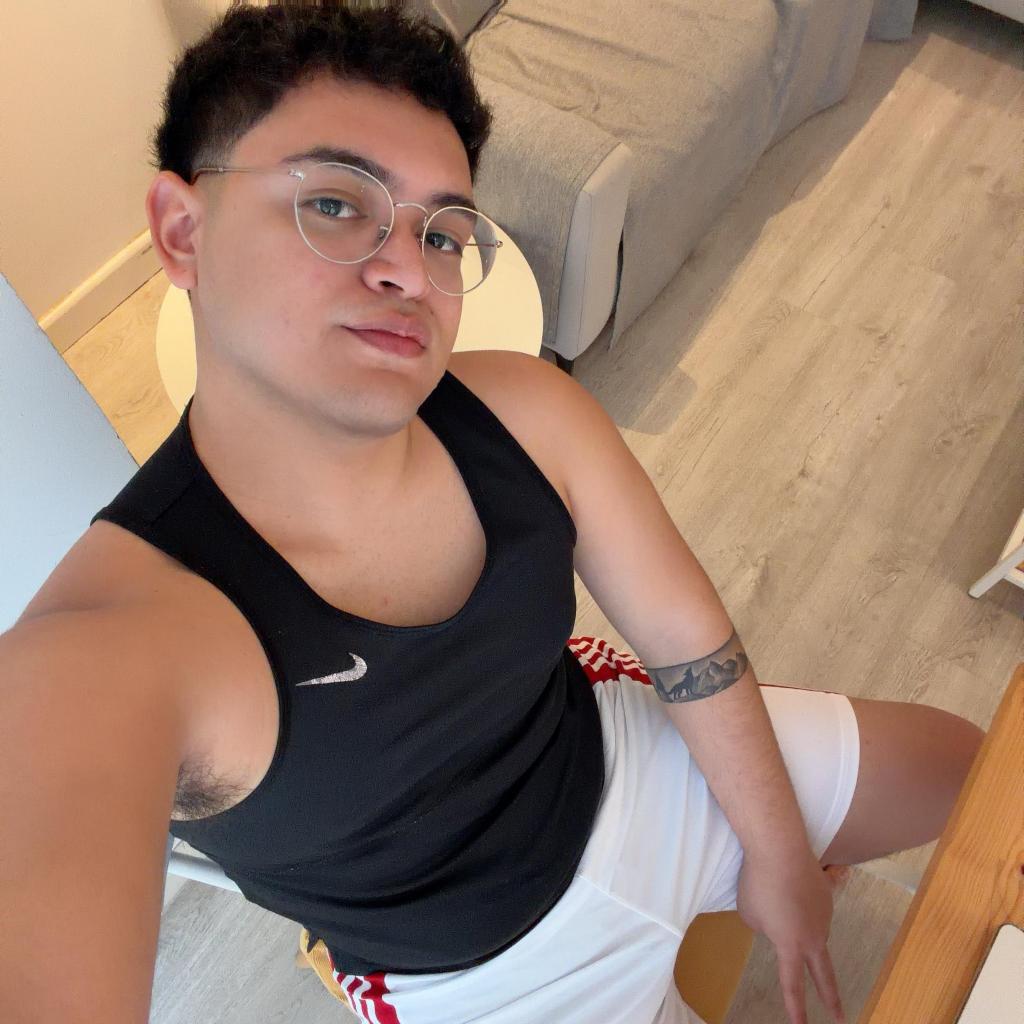 Chico busca chica en Asturias: 