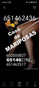 651462780: Chica busca chico en Valladolid