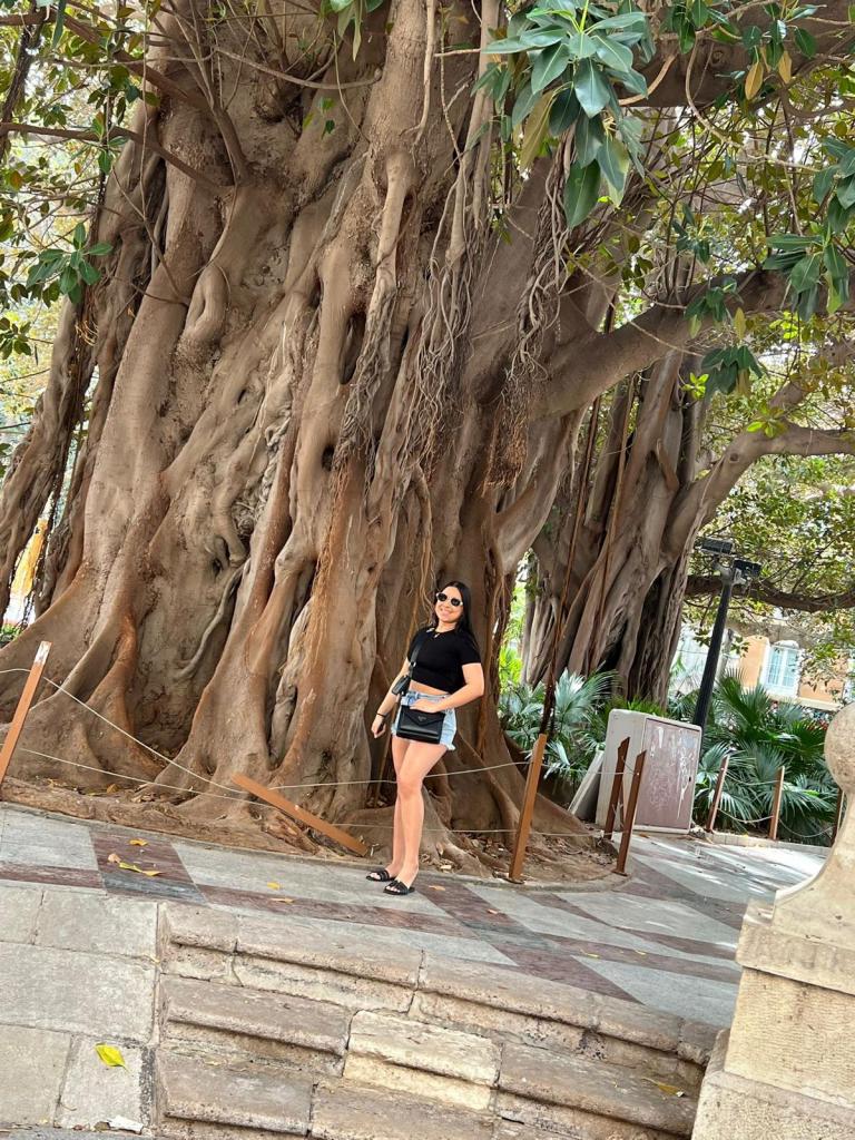 Chica busca chico en Alicante: 