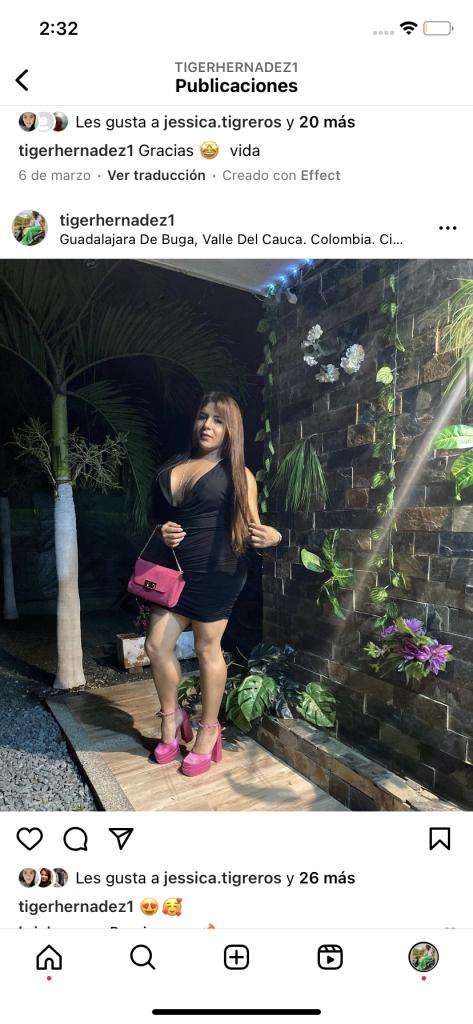 Transexual en Castellón: 