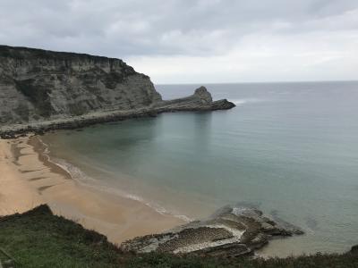 Chico busca chica en Guadalajara: 