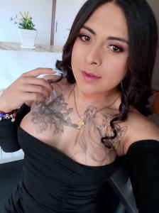 Travesti en Pontevedra: 