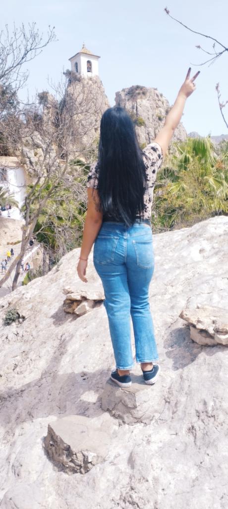 Transexual en Valencia: 