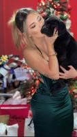 613681015: Chica busca chico en León
