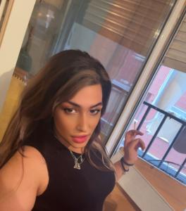 Travesti en Castellón: 