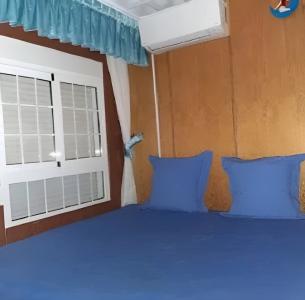 600029479: Transexual en Valencia