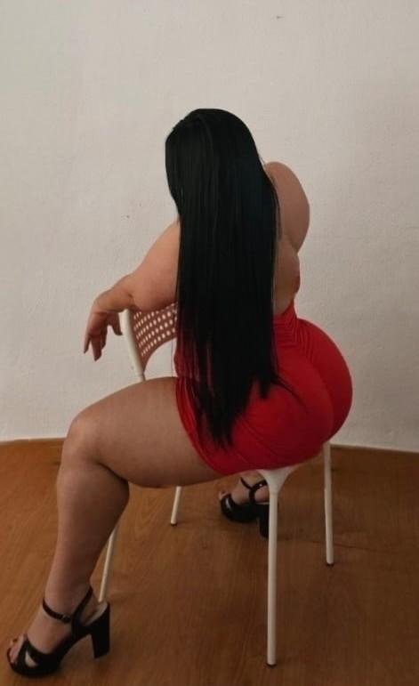 Chica busca chico en Alicante: 