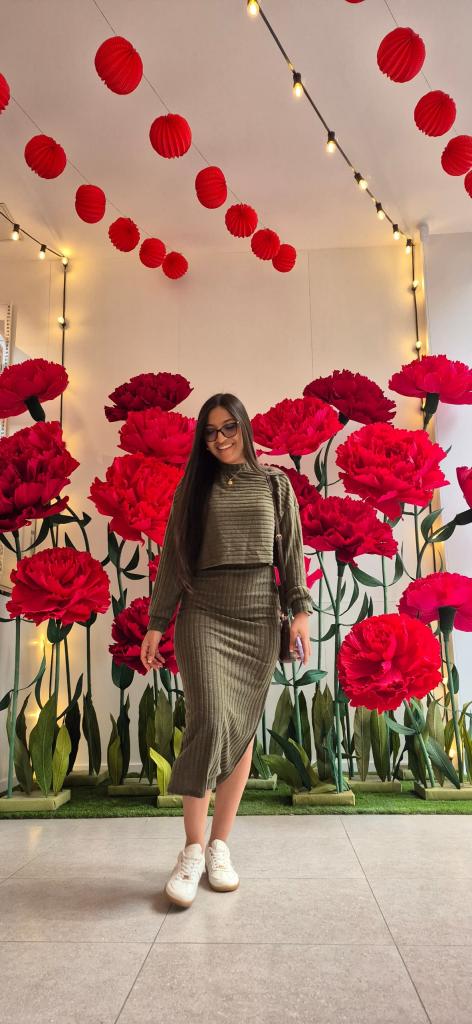 Chica busca chico en Madrid: 